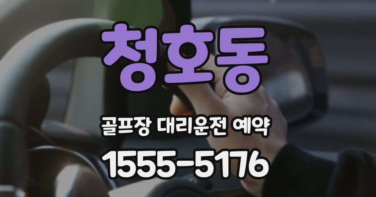 청호동 골프장 대리운전 예약