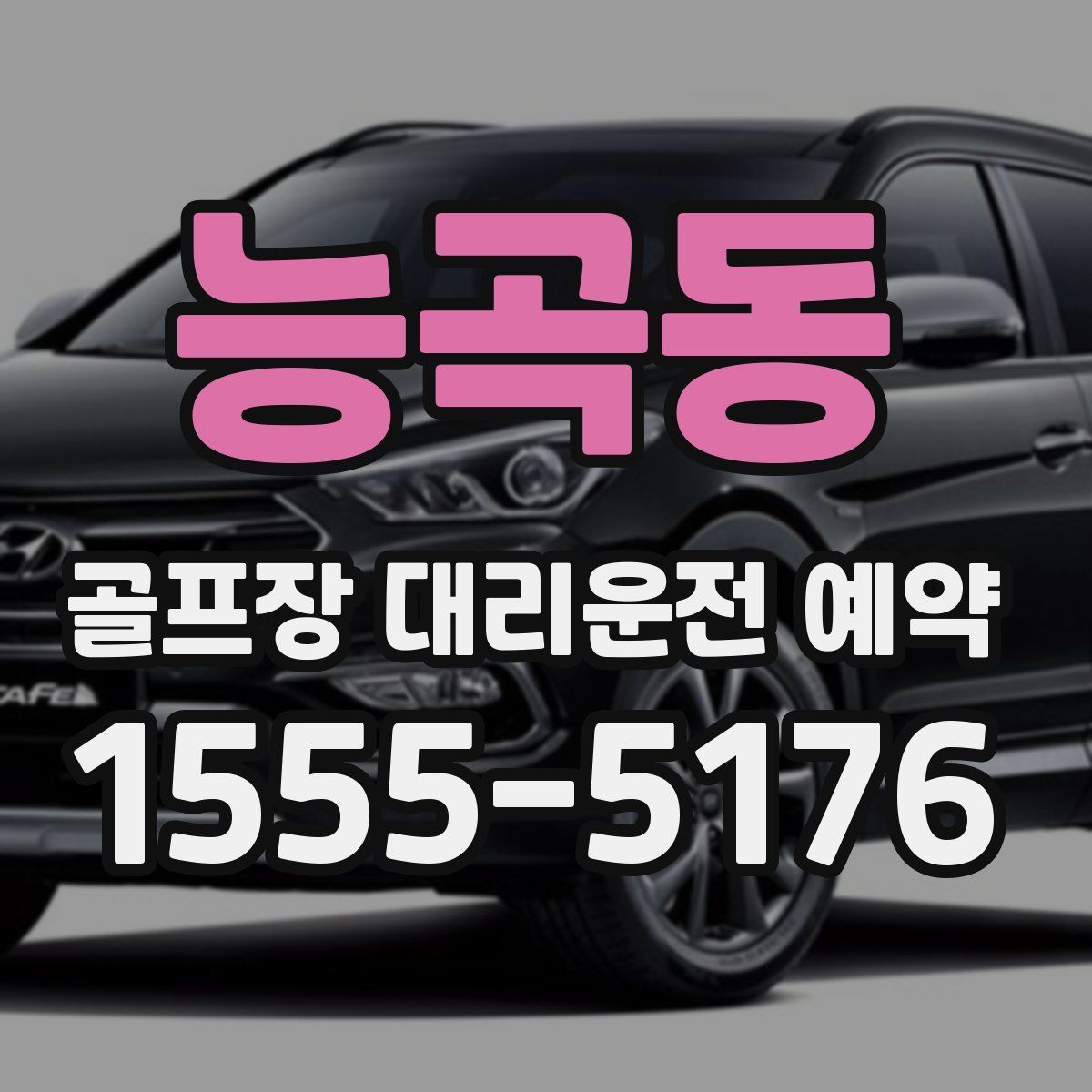 능곡동 골프장 대리운전 예약