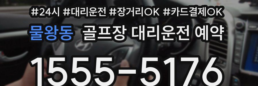 물왕동 골프장 대리운전 예약