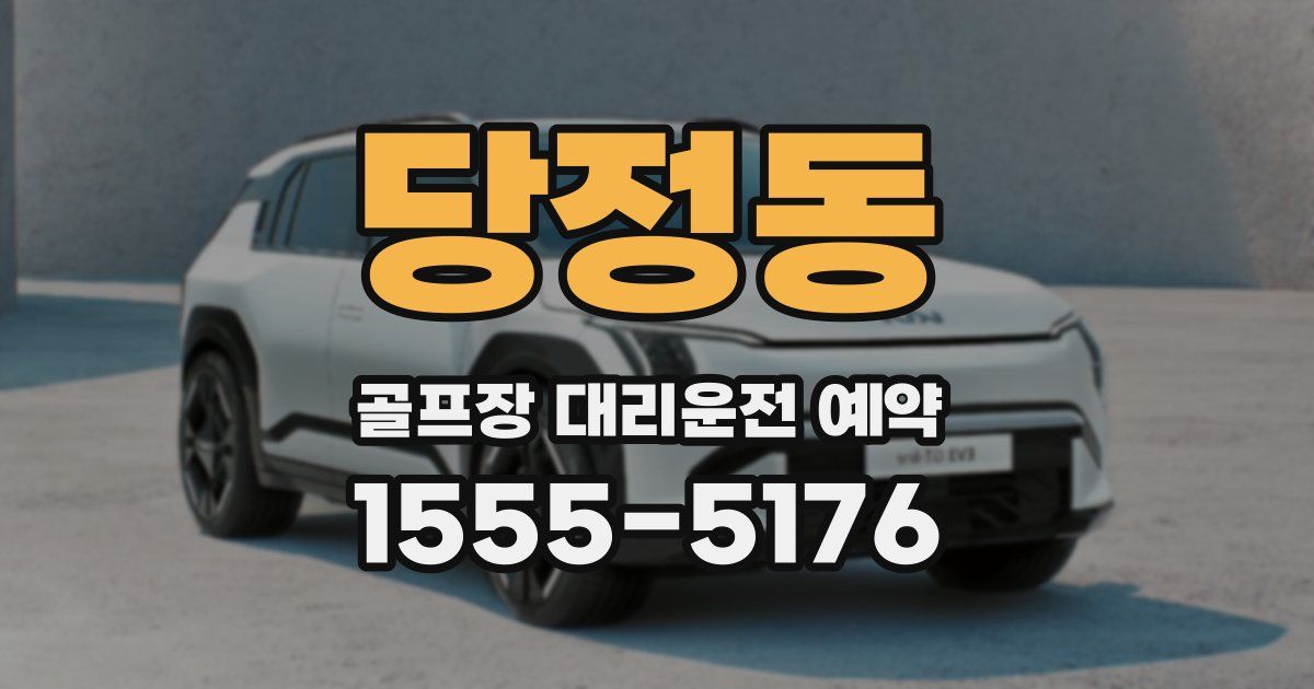 당정동 골프장 대리운전 예약