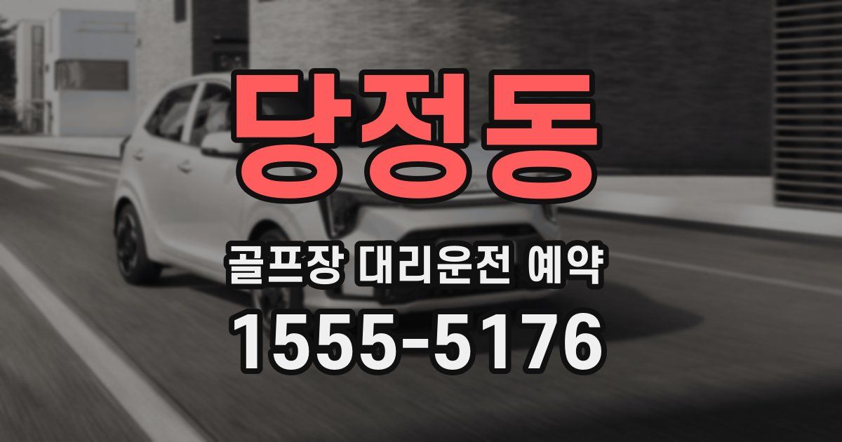 당정동 골프장 대리운전 예약