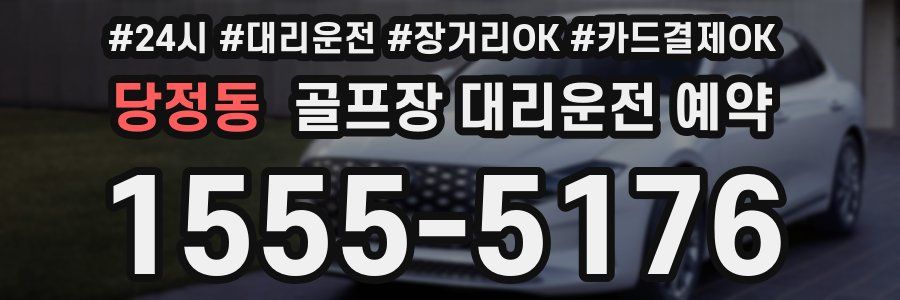 당정동 골프장 대리운전 예약