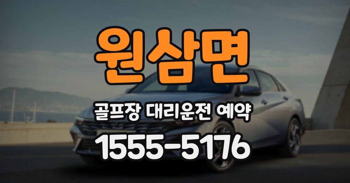 원삼면 골프장 대리운전 예약