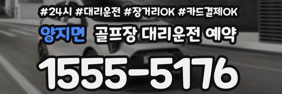 양지면 골프장 대리운전 예약