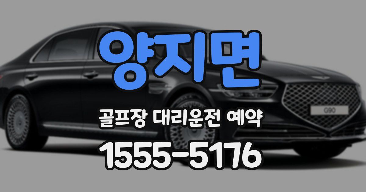 양지면 골프장 대리운전 예약