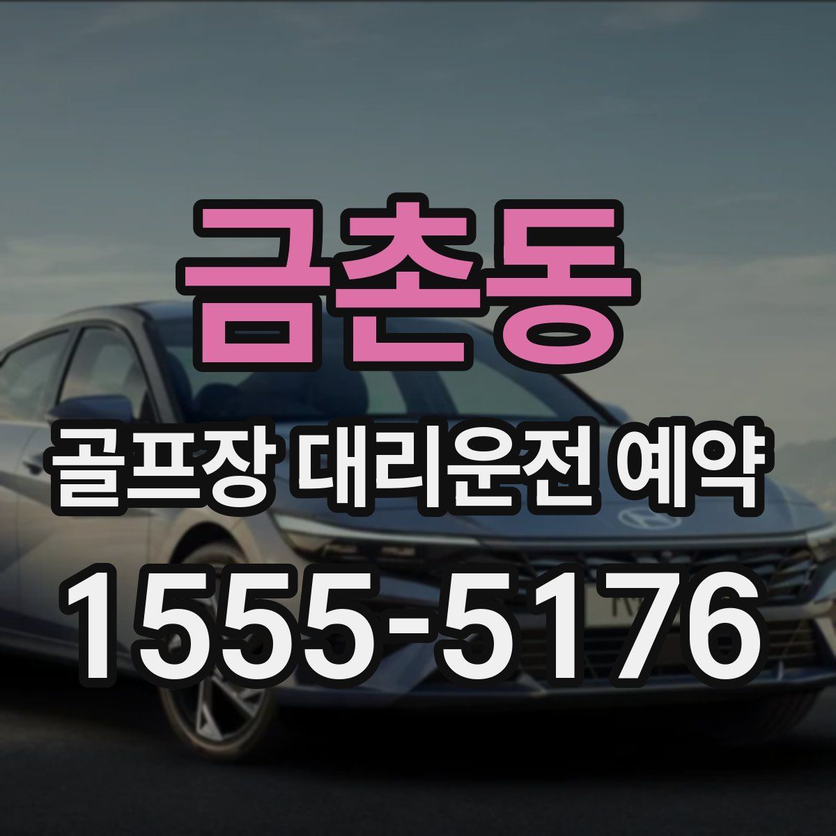 금촌동 골프장 대리운전 예약