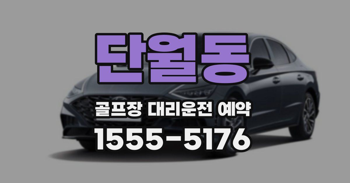 단월동 골프장 대리운전 예약