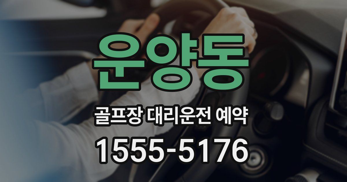 운양동 골프장 대리운전 예약