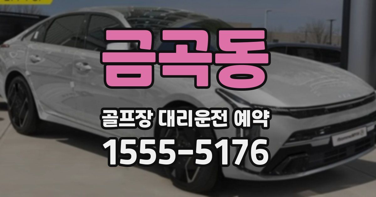 금곡동 골프장 대리운전 예약