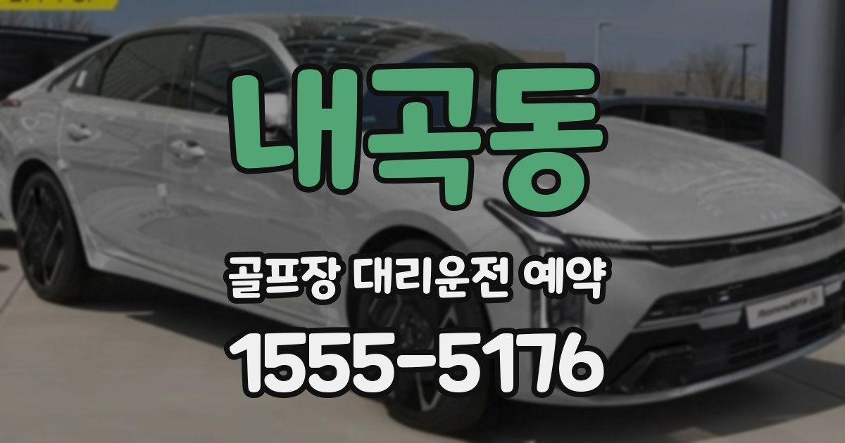내곡동 골프장 대리운전 예약