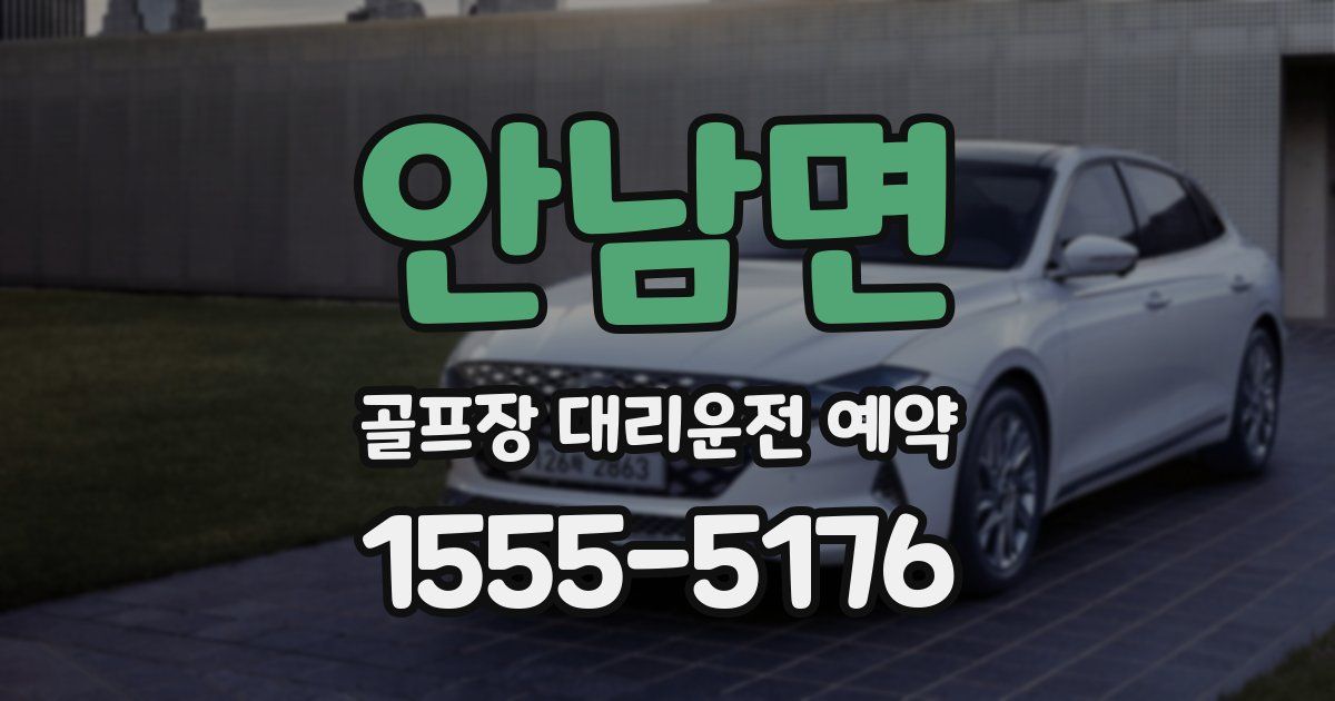 안남면 골프장 대리운전 예약