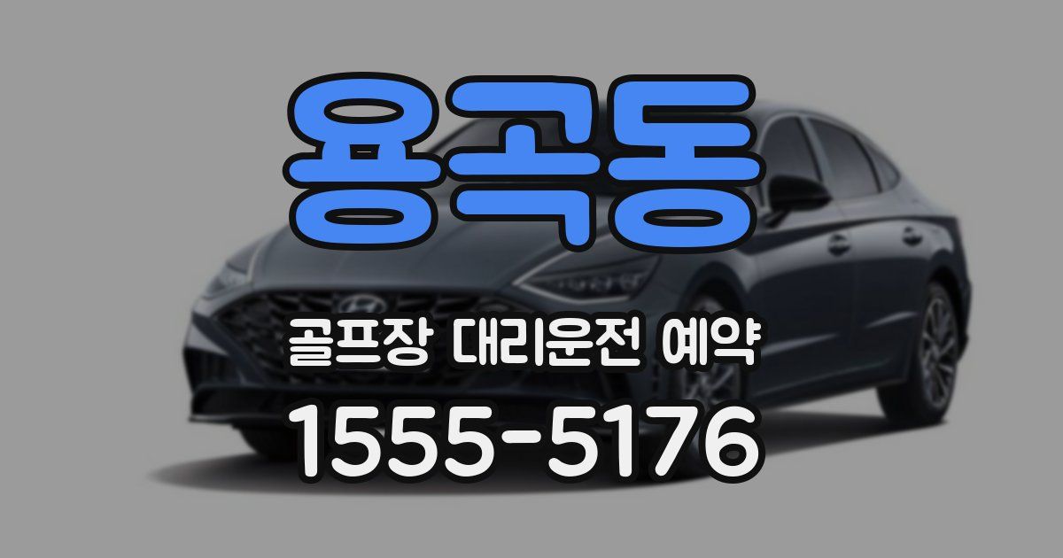용곡동 골프장 대리운전 예약