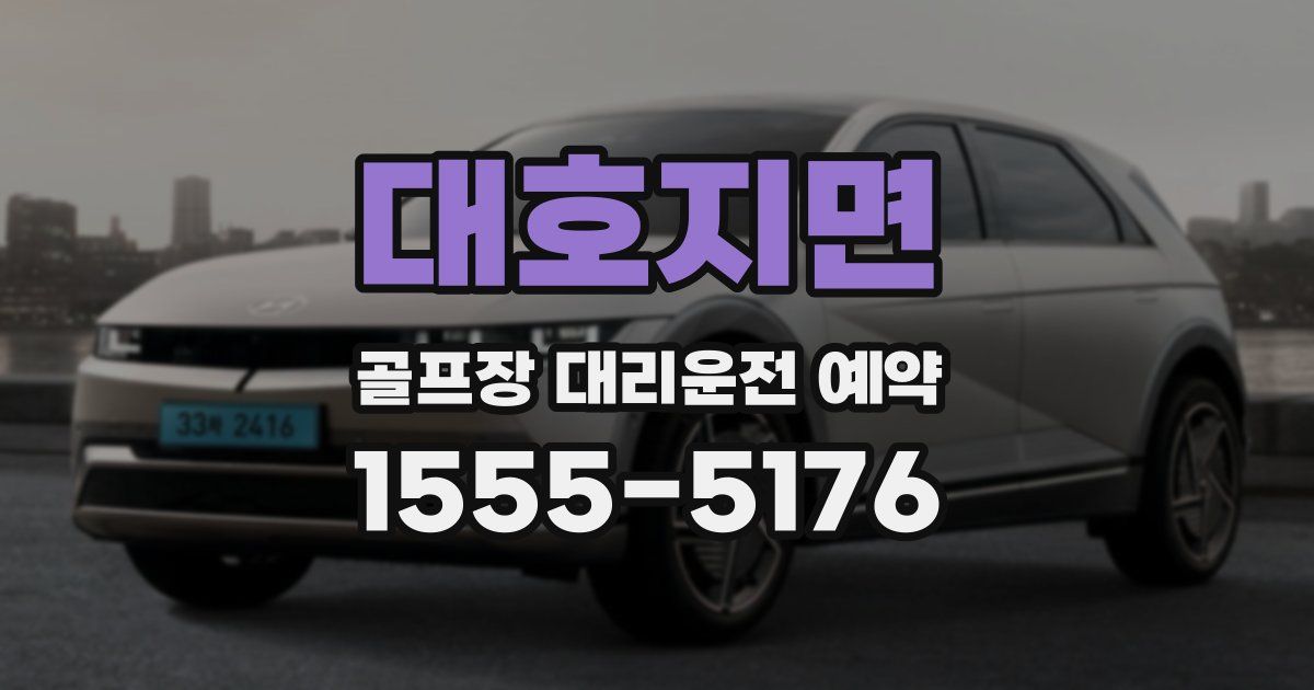 대호지면 골프장 대리운전 예약