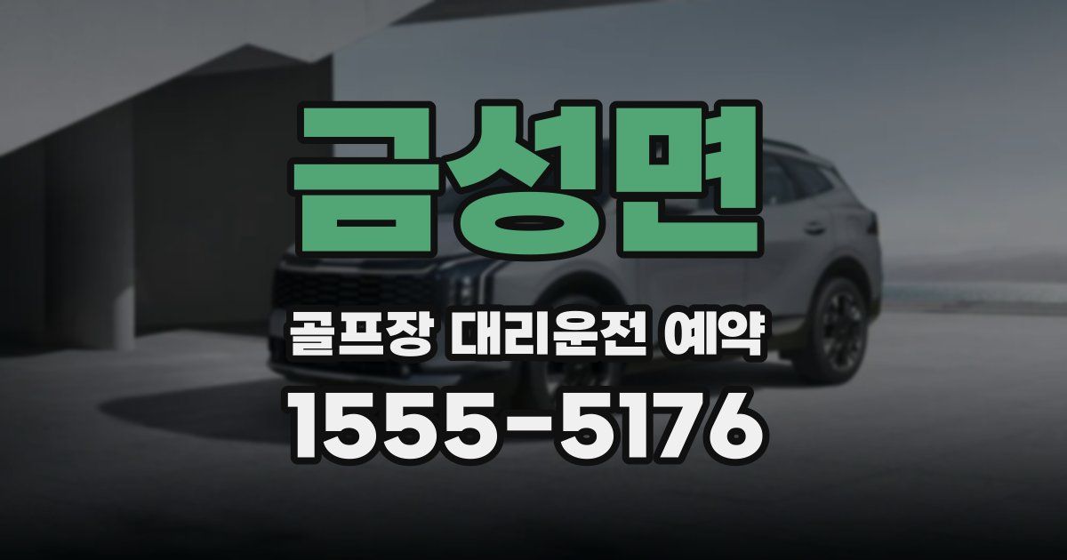 금성면 골프장 대리운전 예약