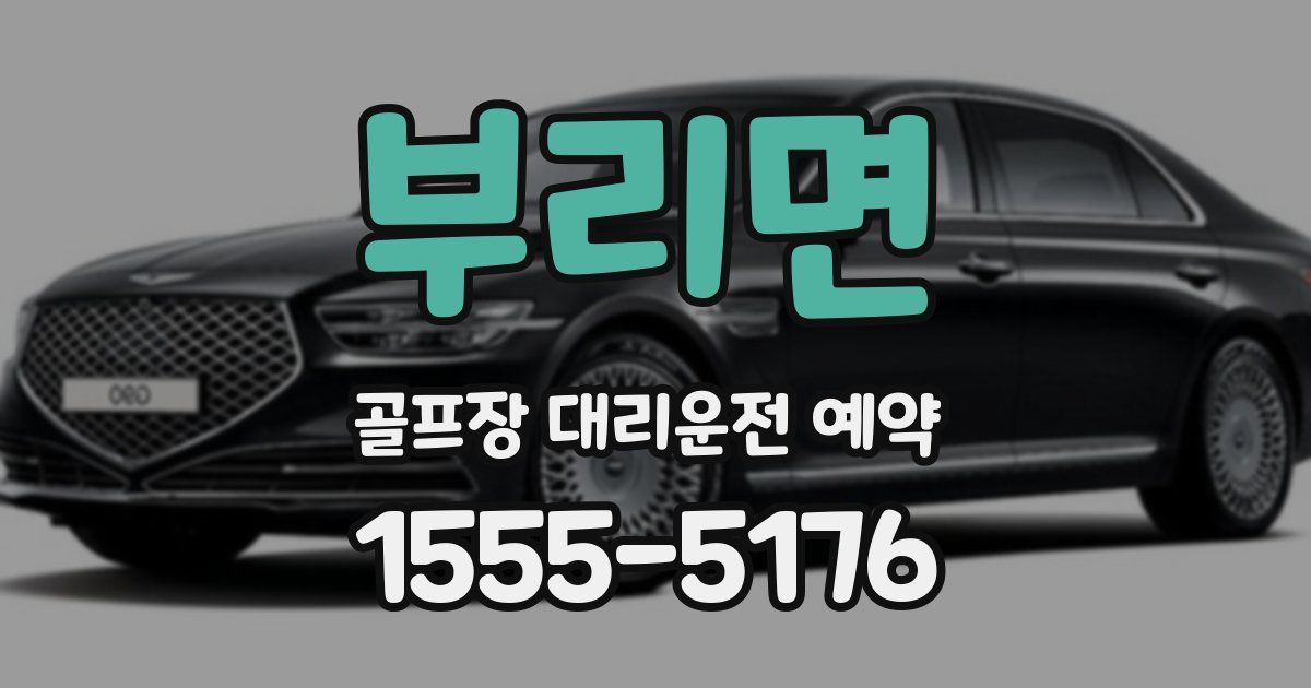 부리면 골프장 대리운전 예약