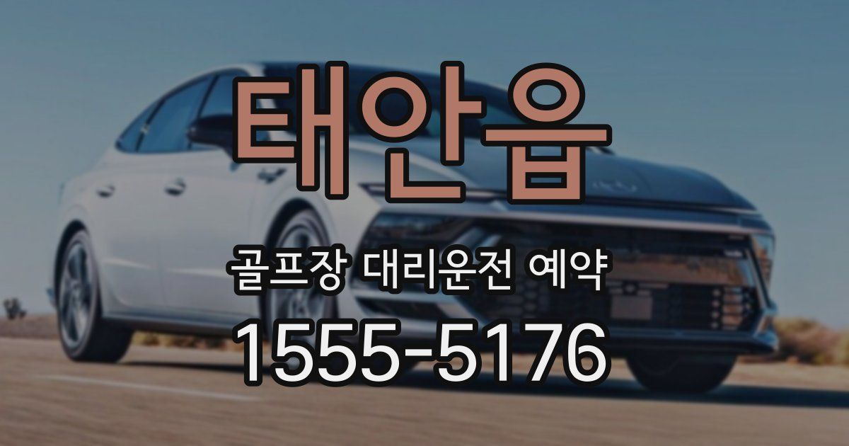 태안읍 골프장 대리운전 예약