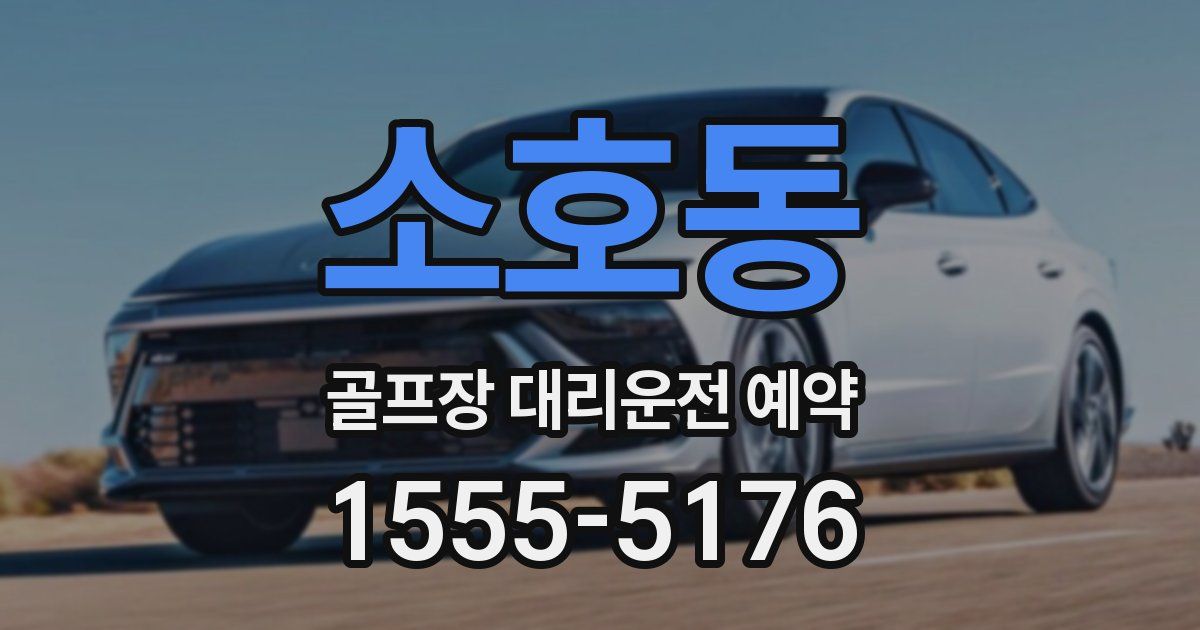 소호동 골프장 대리운전 예약