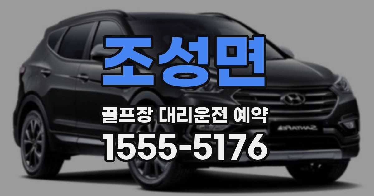 조성면 골프장 대리운전 예약