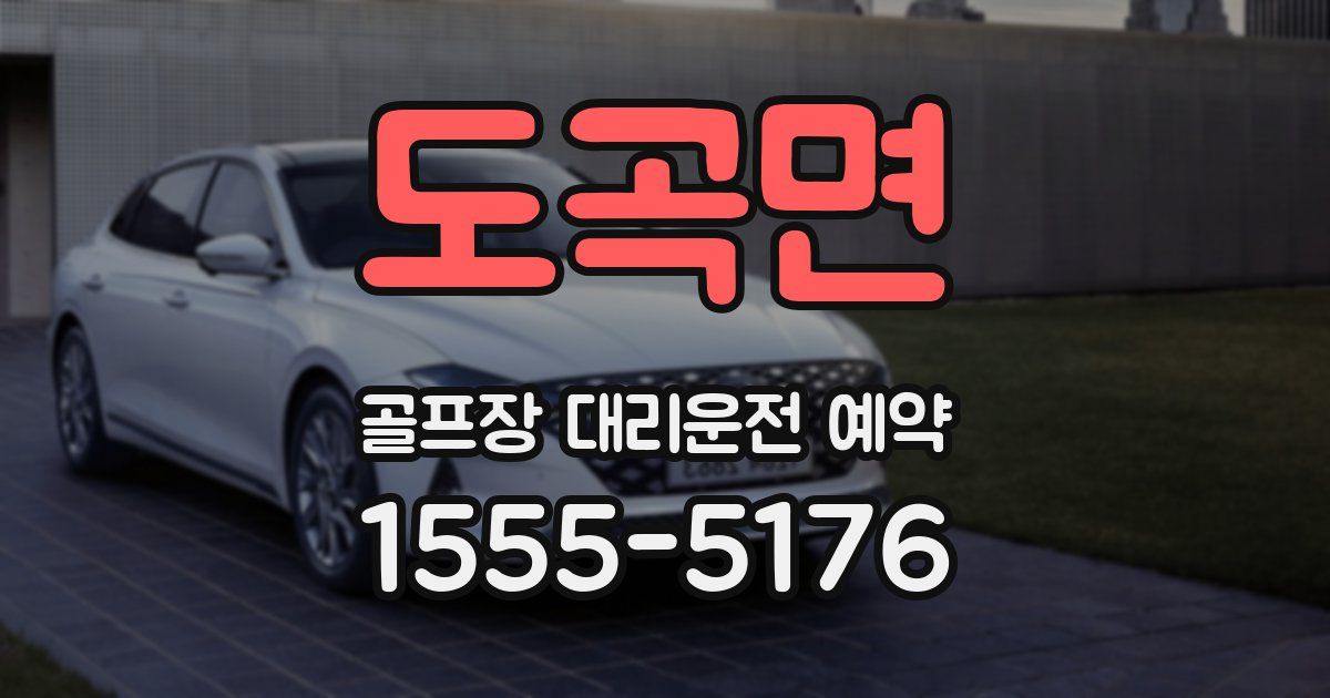도곡면 골프장 대리운전 예약