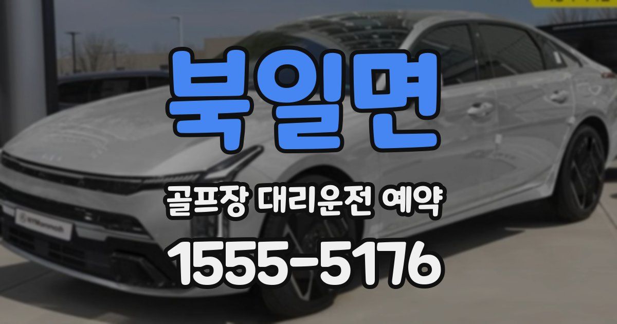북일면 골프장 대리운전 예약