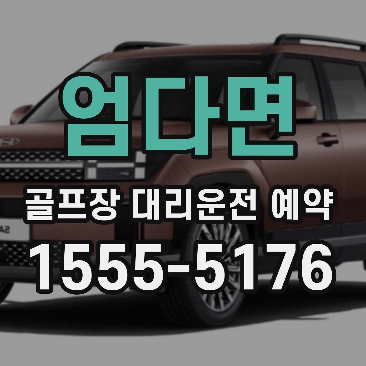 엄다면 골프장 대리운전 예약