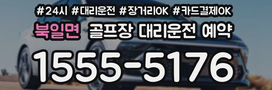 북일면 골프장 대리운전 예약