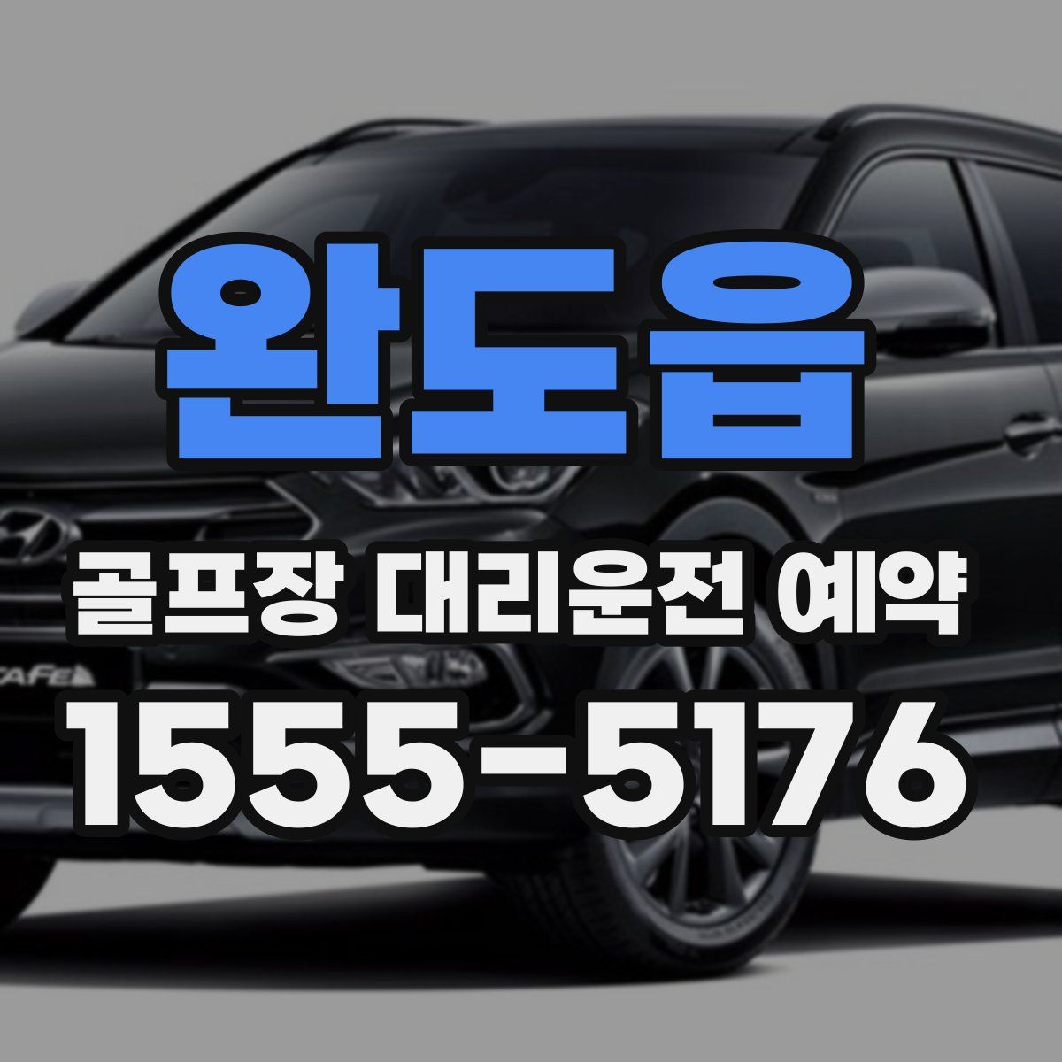 완도읍 골프장 대리운전 예약