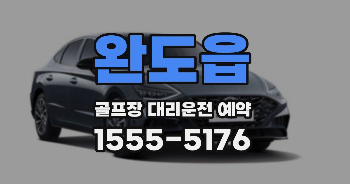 완도읍 골프장 대리운전 예약