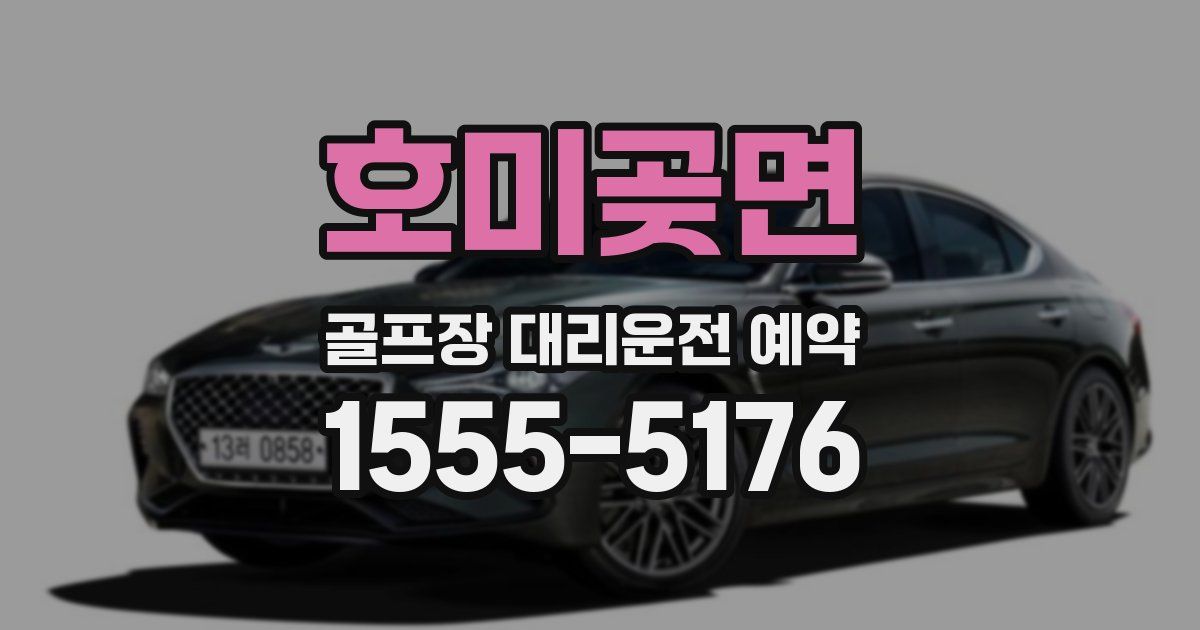 호미곶면 골프장 대리운전 예약
