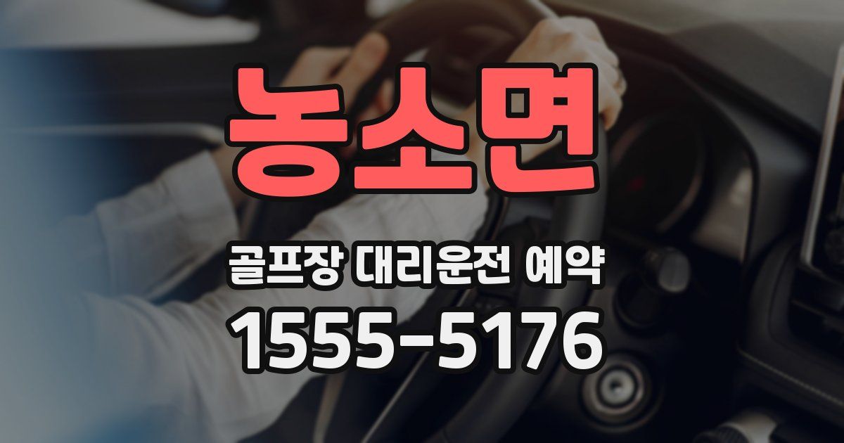 농소면 골프장 대리운전 예약