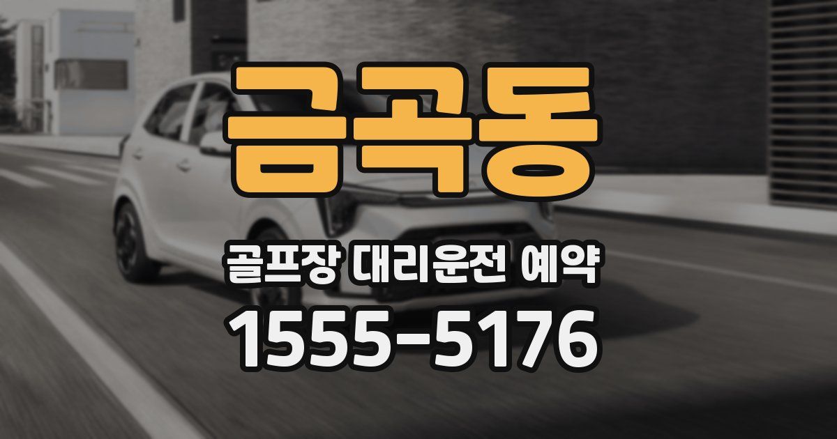 금곡동 골프장 대리운전 예약