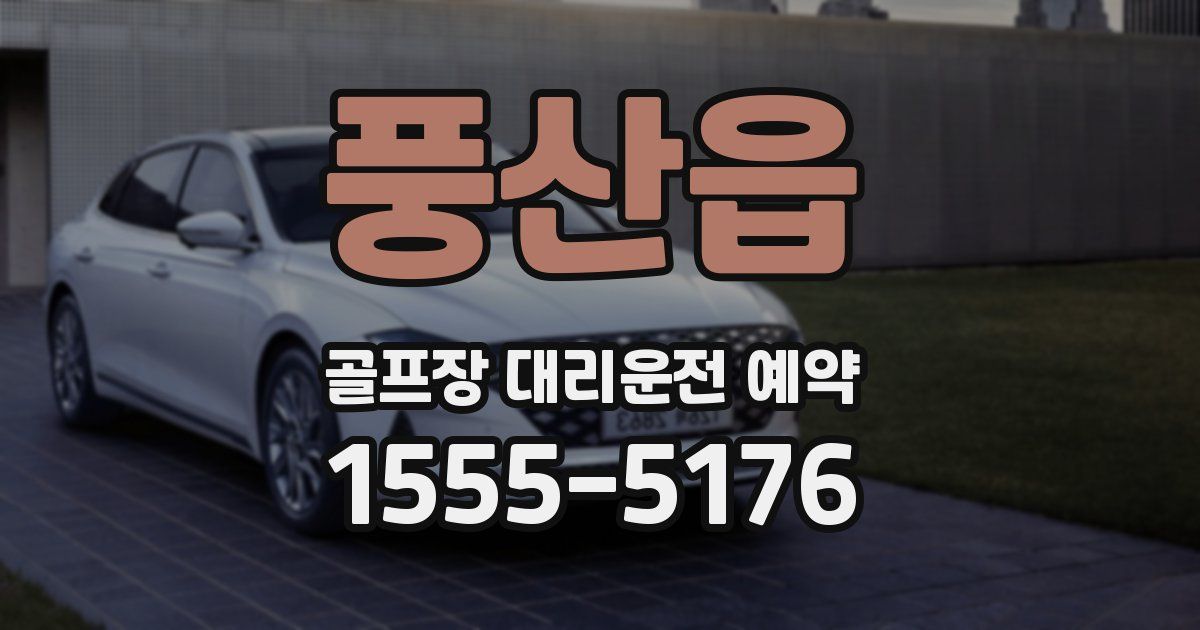 풍산읍 골프장 대리운전 예약