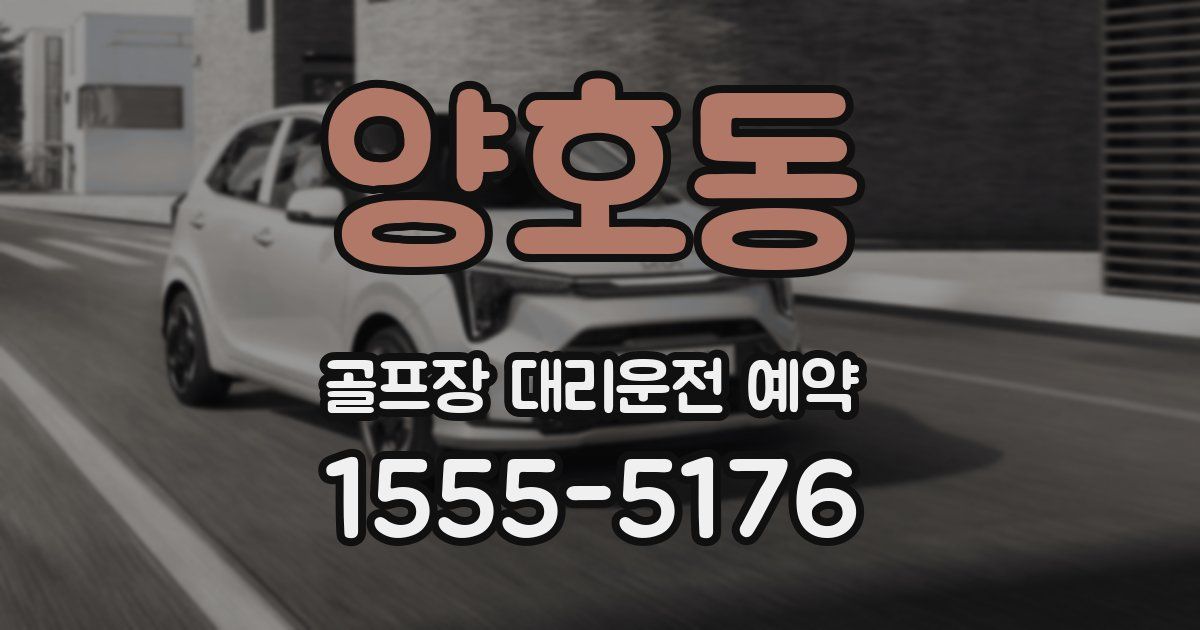 양호동 골프장 대리운전 예약