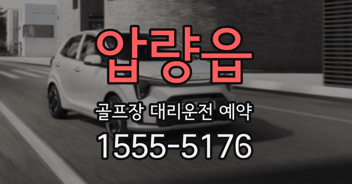 압량읍 골프장 대리운전 예약