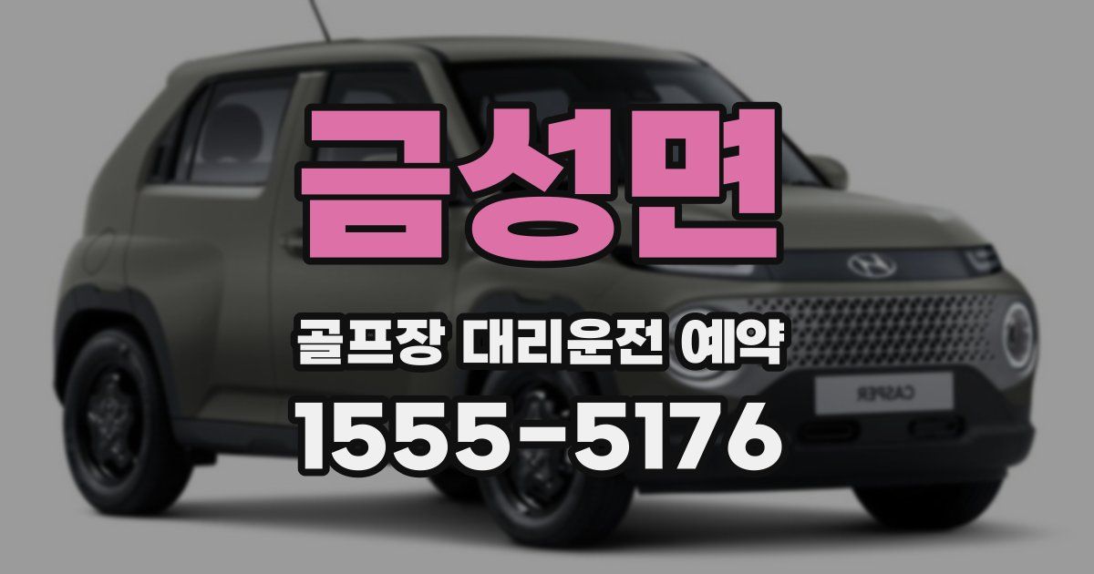 금성면 골프장 대리운전 예약