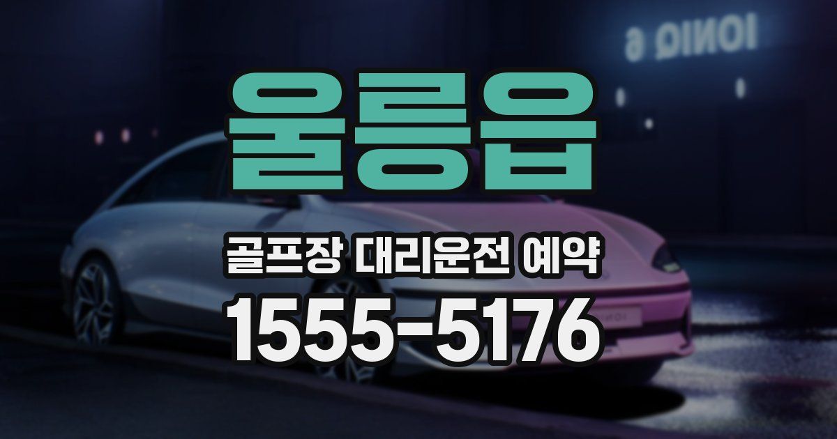 울릉읍 골프장 대리운전 예약