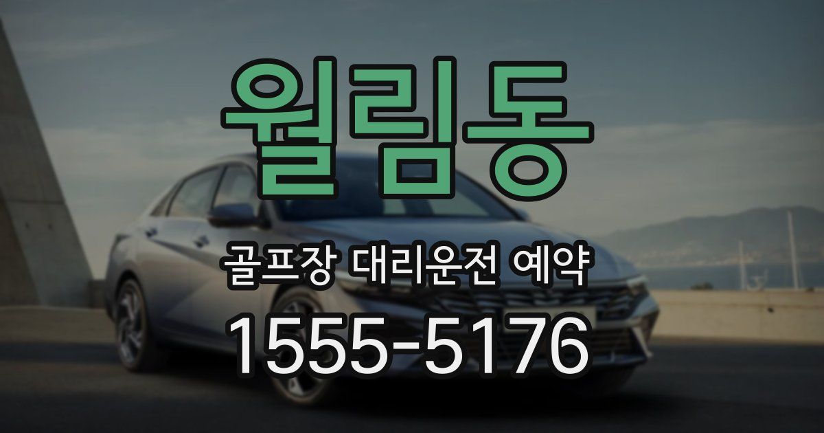 월림동 골프장 대리운전 예약