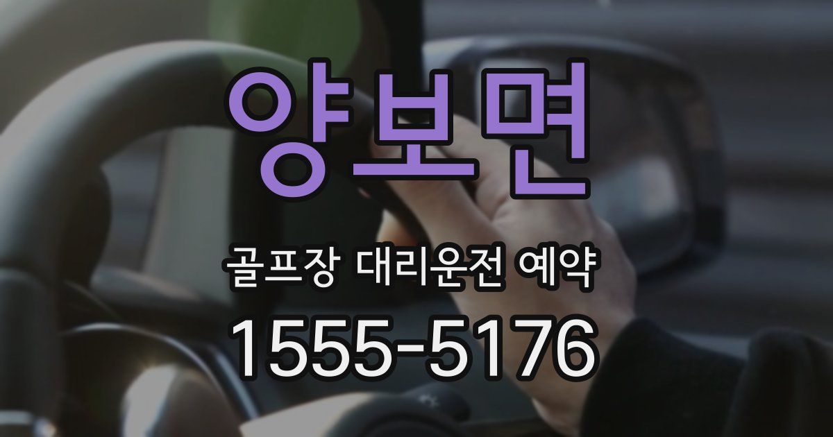 양보면 골프장 대리운전 예약