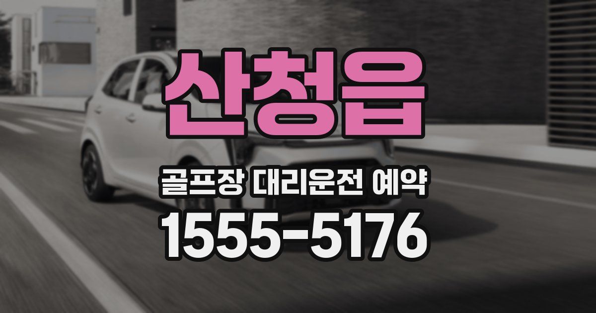 산청읍 골프장 대리운전 예약