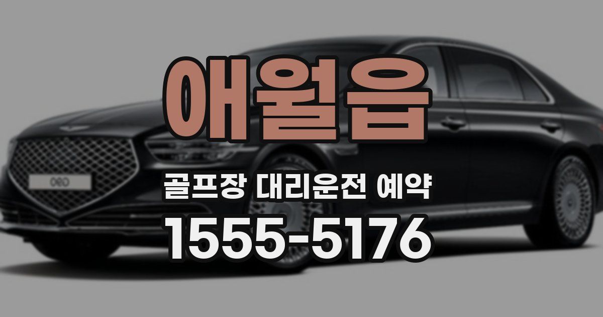애월읍 골프장 대리운전 예약
