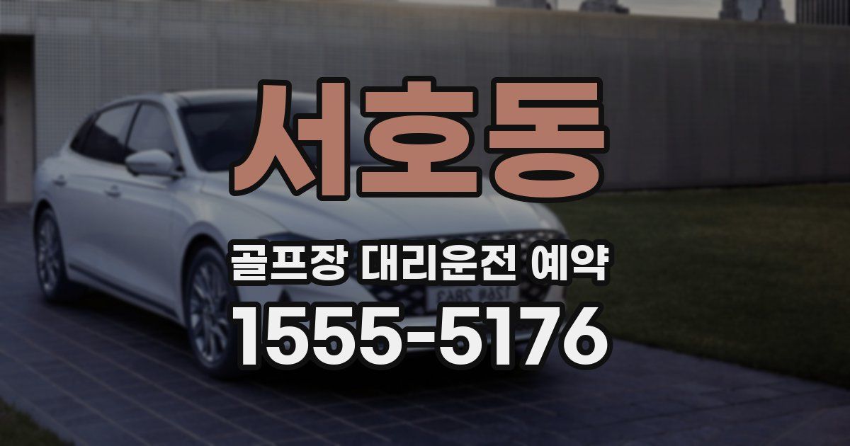 서호동 골프장 대리운전 예약