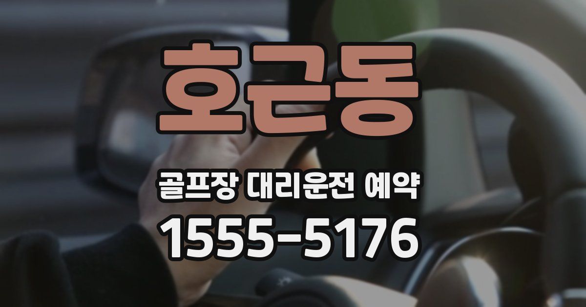 호근동 골프장 대리운전 예약