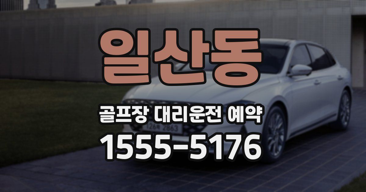 일산동 골프장 대리운전 예약