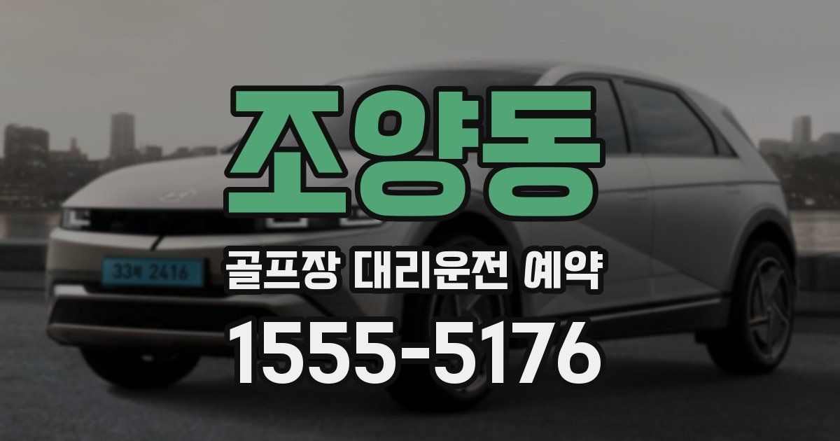 조양동 골프장 대리운전 예약