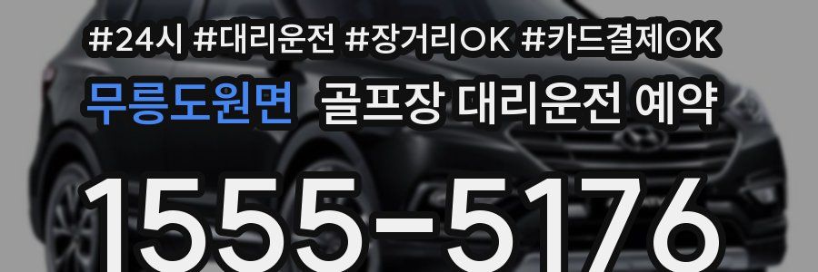 무릉도원면 골프장 대리운전 예약