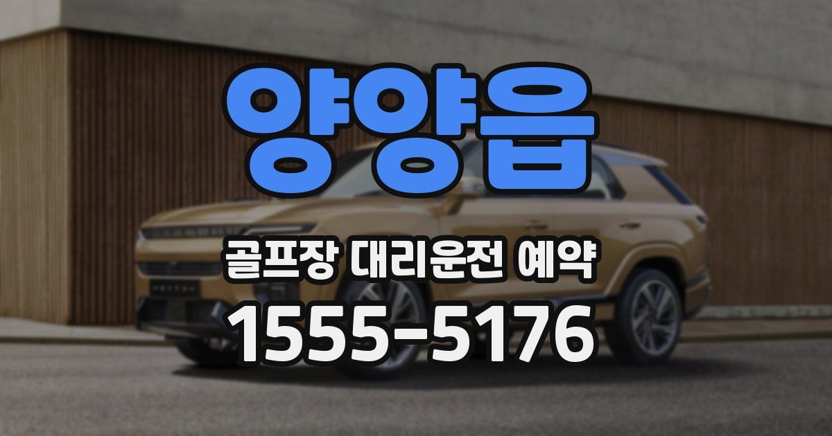 양양읍 골프장 대리운전 예약
