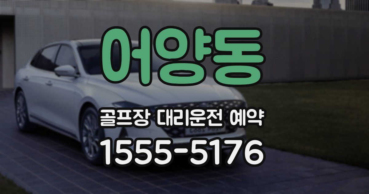 어양동 골프장 대리운전 예약