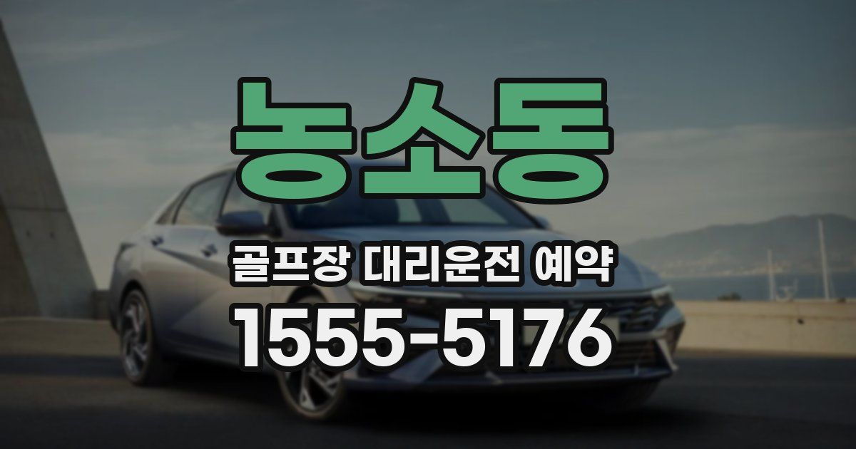 농소동 골프장 대리운전 예약