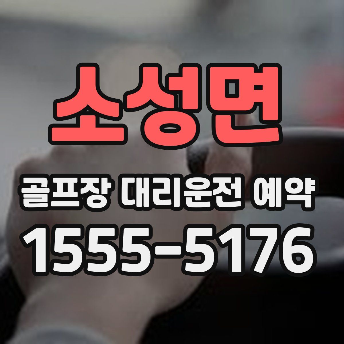 소성면 골프장 대리운전 예약