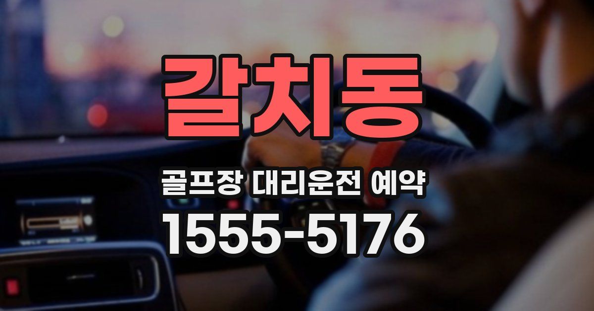 갈치동 골프장 대리운전 예약
